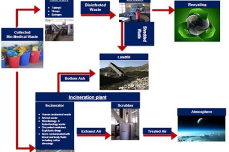 Biomedical Waste Management Process