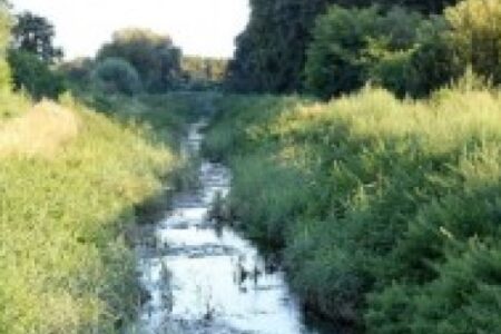 The Contamination of Surface Water with Pharmaceutical and Chemical Pollution