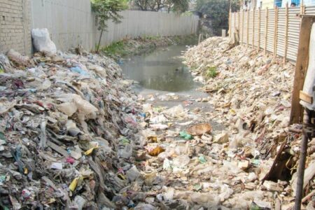 Waste Management In SAARC Countries: Priorities And Cooperation